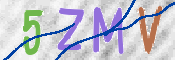 验证图片